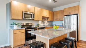 Gourmet kitchen